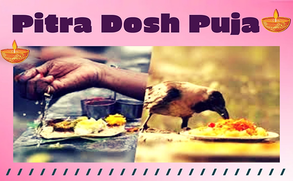 pandit booking service